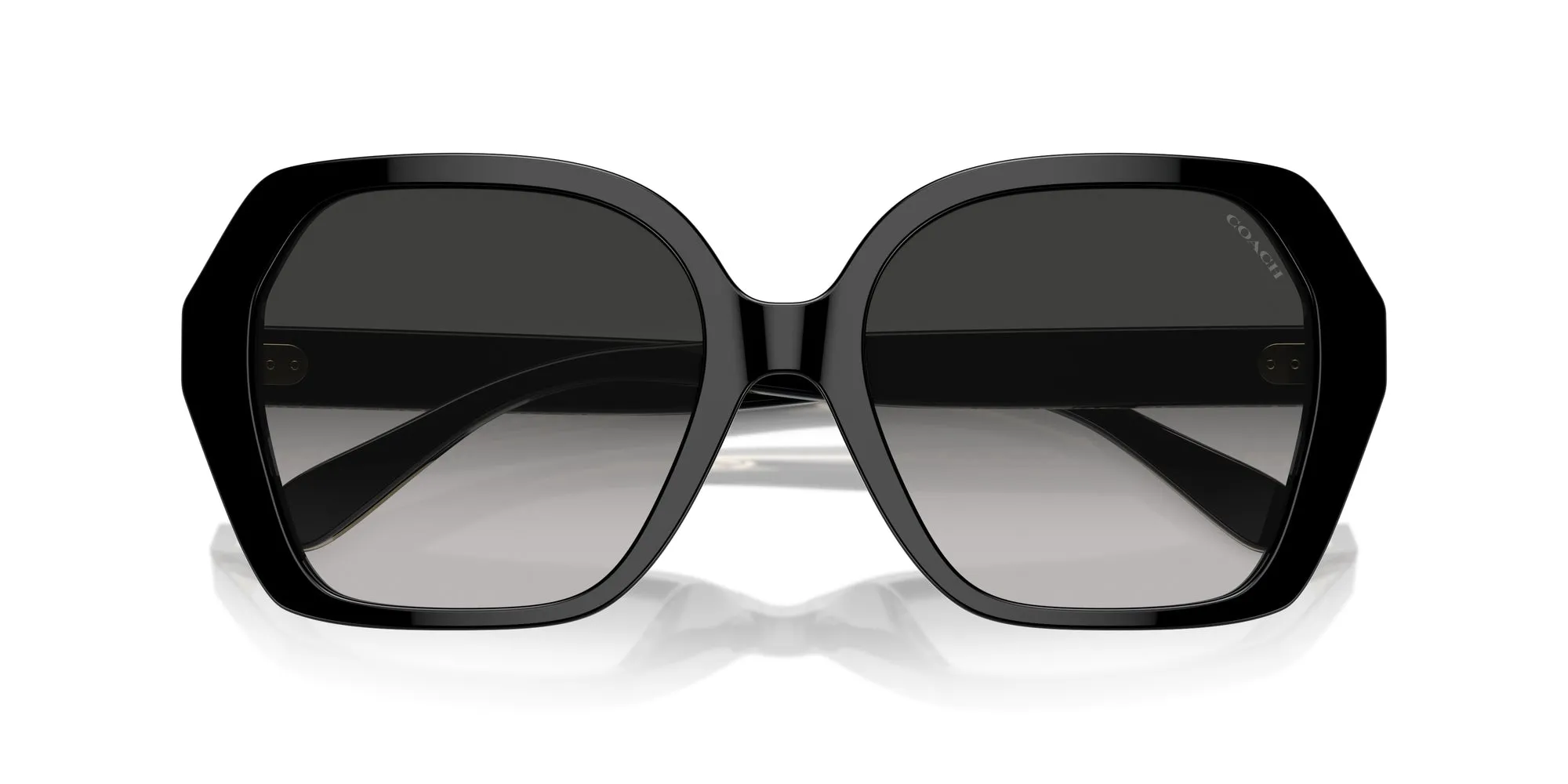 Coach HC8404U CR615 Sunglasses
